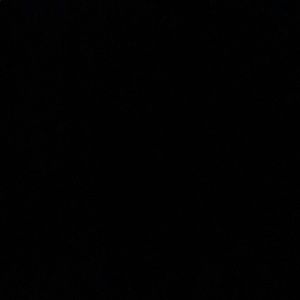 Meet your Posher, Ella